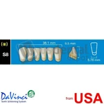 Davinci S8 Lower Anterior C2 (1 X 6) 4 Layers Denture Acrylic 112697. Fixed Price $18.31.