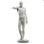 Human Anatomy, Maximum Detailed 12K Resin Model Kit 3D Printed Diy Figure. Fixed Price $120.00.