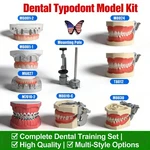 Us Dental Multi-type Typodont Teeth Model Ortho Implant Practice/teaching Demo. Fixed Price $44.99.