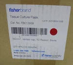 Fisher Brand FB012939 Tissue Culture Flask 182CM Vented Cap 8PK/CS 5EA/PK. Fixed Price $74.99.