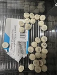 Emax Ivoclar Vivodent Once Pressed Imgots HTC1 Lot Of 30. Fixed Price $45.00.