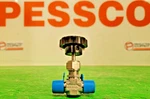 Flolok 100 Series Needle Valves Lot Pessco Offering G091525-25-34. Fixed Price $274.95.
