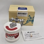 Kilgore Nissin Dental Model D21DP-UMI 6 With Braces Crown Gums Training Learning. Fixed Price $39.98.