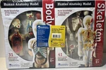 Human Body Anatomy Model Heart Brain Skeleton Medical School Educational 132PC(F. Fixed Price $69.99.