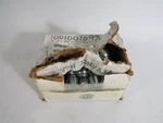 Goodyear B2-JCFX-0404 Female Hose Fitting 1/4" Swivel Box Damage 25-PK ! New. Fixed Price $50.72.